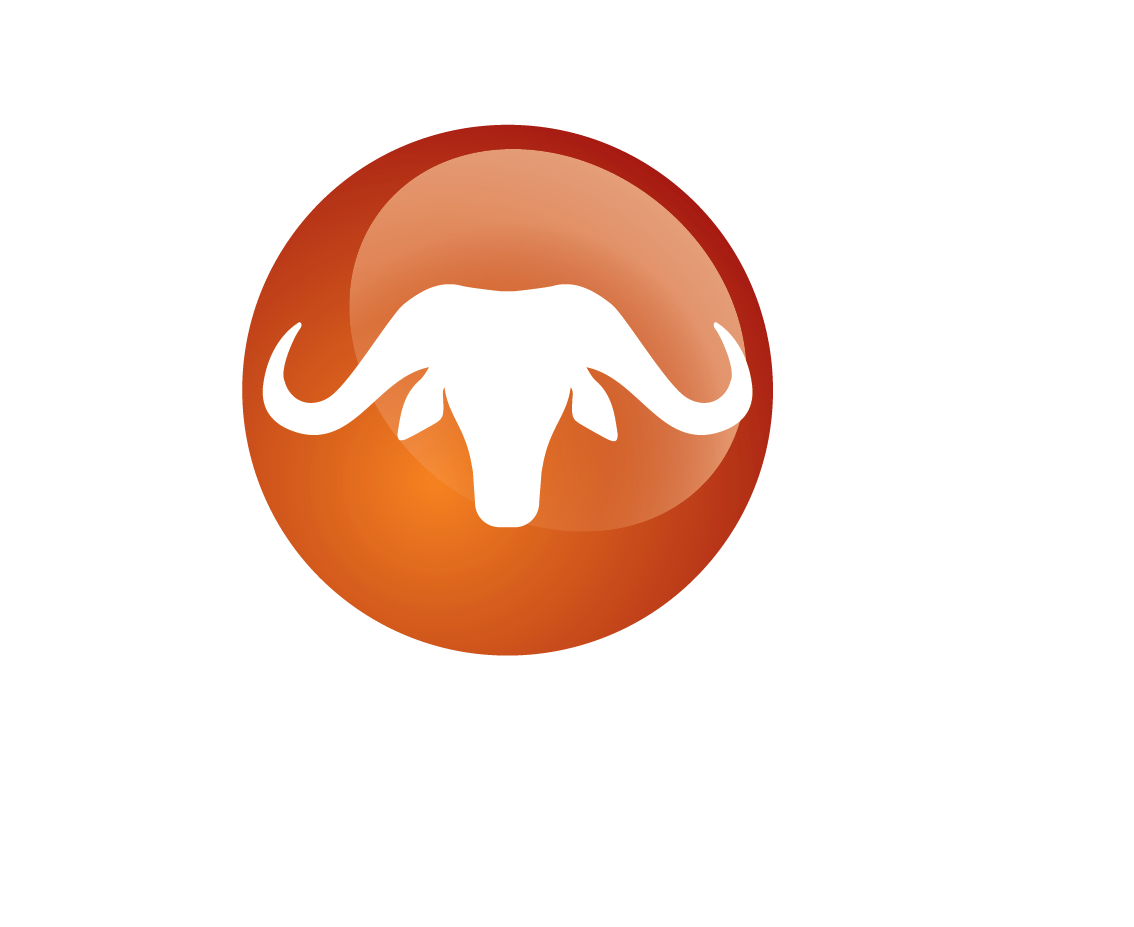 Buffalo Logo 01 01